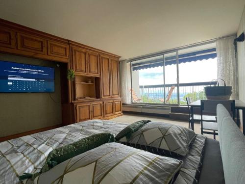 Le Panorama Studio Prive Avec Vue Magnifique Turckheim Trois Epis — hotel in Ammerschwihr
