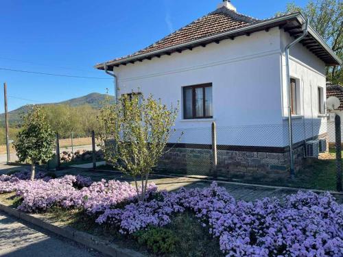 Miracle Houses Къщи за гости Чудеса in Varshets, Bulgaria