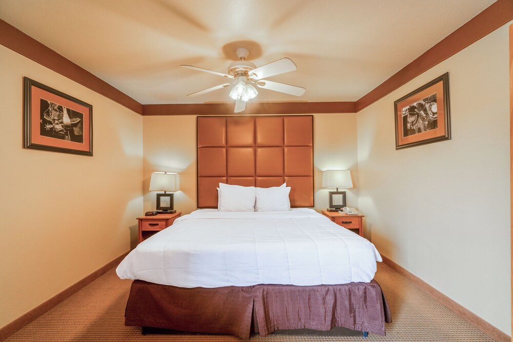 Texan Inn By Oyo Beeville Us 181 - photo 45
