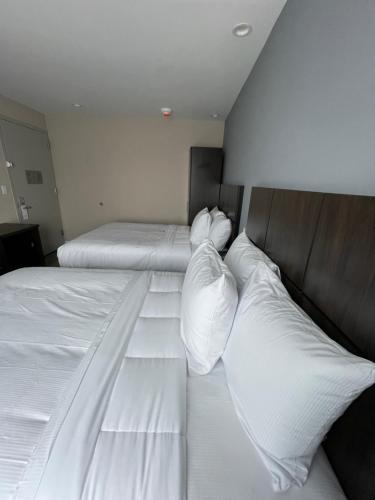 Hotel 21 Nyc - photo 11