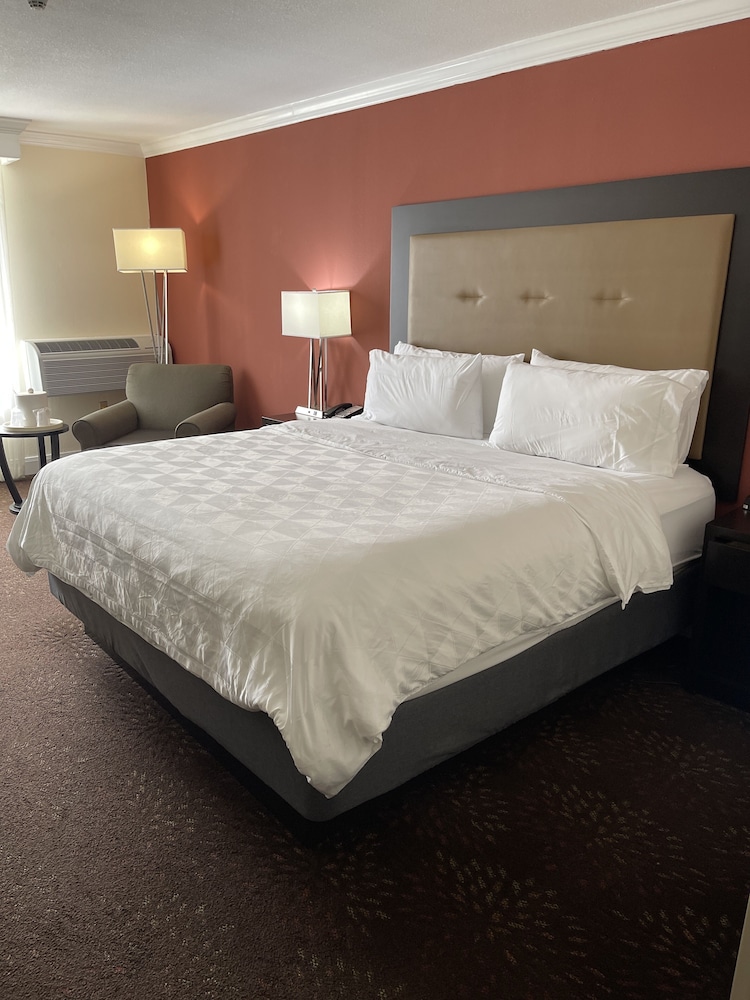 Holiday Inn Tyler Conference Center by IHG - photo 13