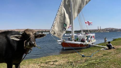 2nights Felucca from aswan to komobo temple in Aswan, Egypt