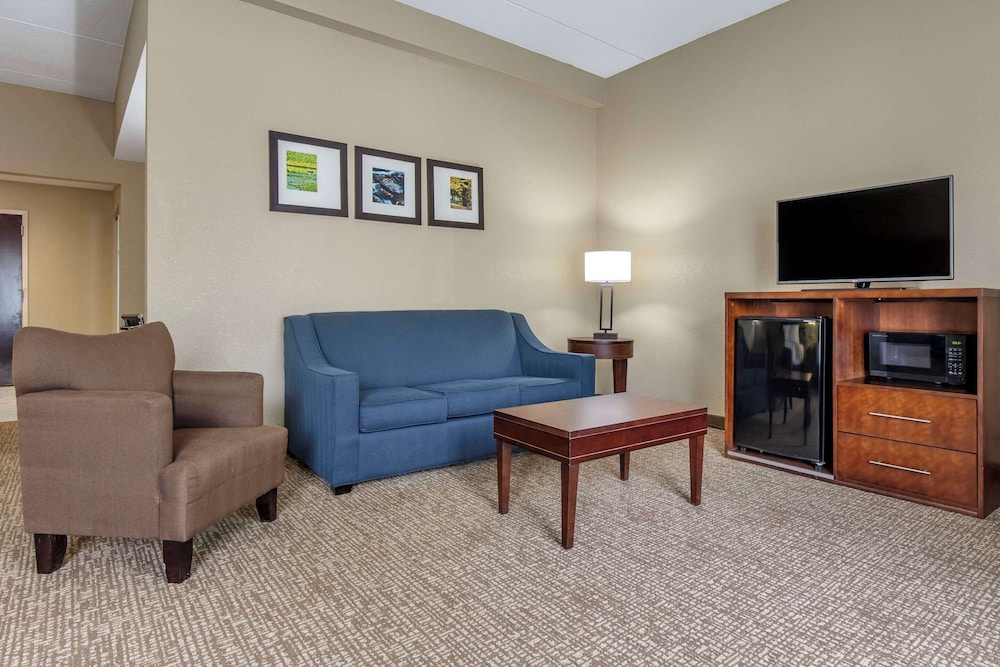 Comfort Inn & Suites Mocksville I 40 - photo 24