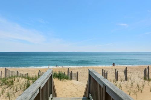 Cobia — Nags Head — photo 3