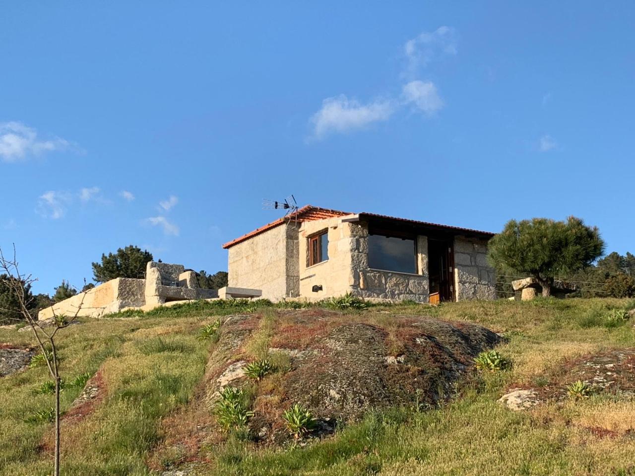 Quinta de S. Cipriano — Resende — photo 5
