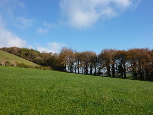 Higher Melcombe Manor — Ansty — photo 5
