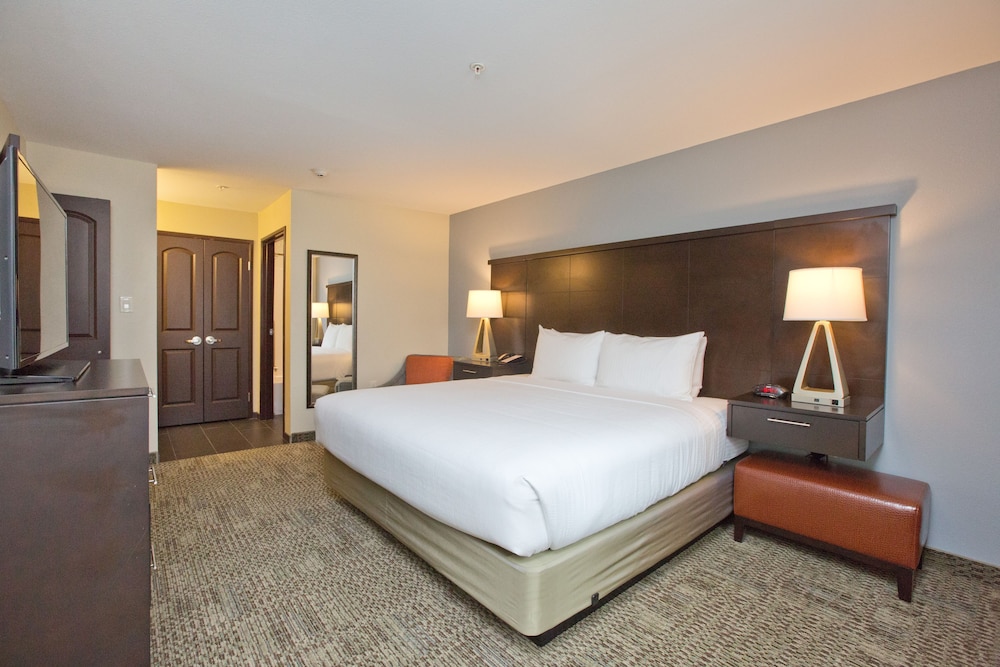 Staybridge Suites Austin South Interstate Hwy 35 an IHG Hotel - photo 5