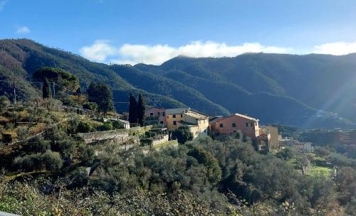 La Jeannotte — Levanto — photo 4