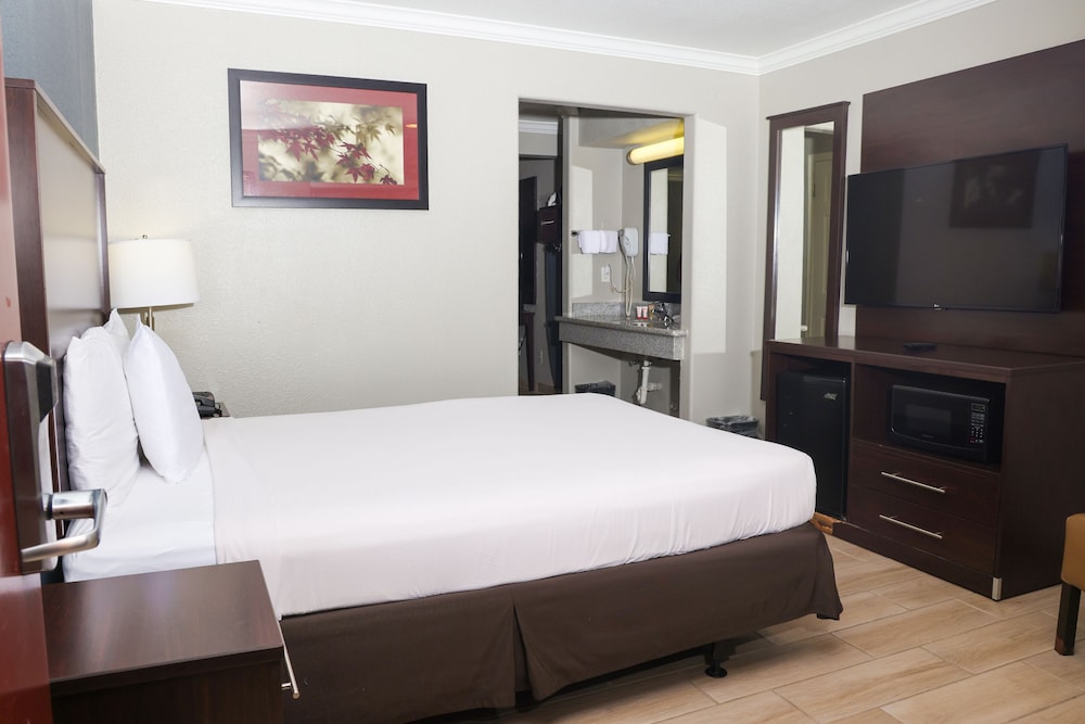 OYO Hotel McAllen Airport South - photo 44