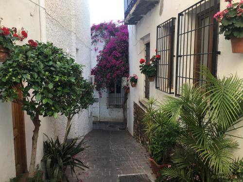 Las Brisas Mojacar Home — Mojacar — photo 4
