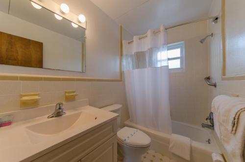 Lark Motel - photo 10