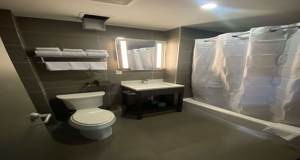 Best Western Plus City Line Hotel - photo 6