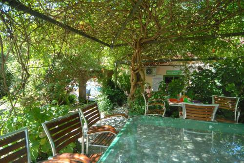Glamping Italian Riviera pet-friendly hotel Isolabona