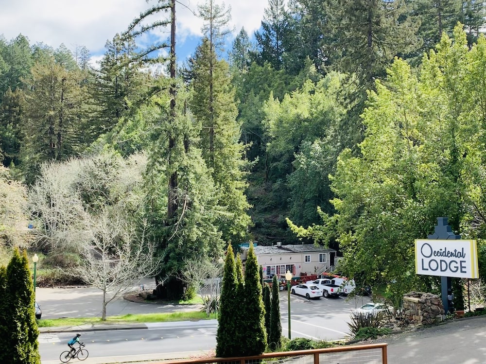 The Occidental Lodge - photo 45