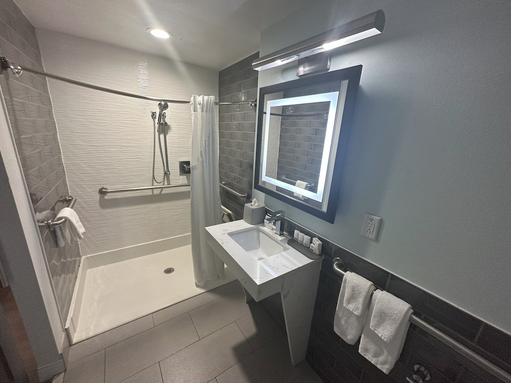 Holiday Inn Express Dallas Downtown - photo 45