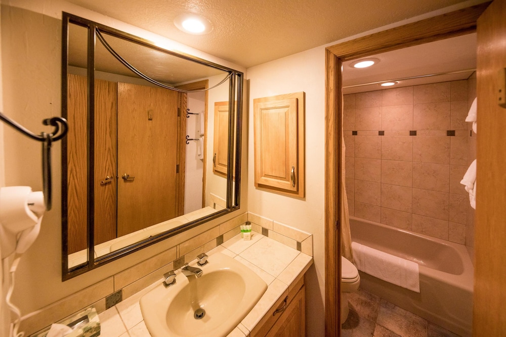 Iron Horse by Stay Winter Park - photo 29