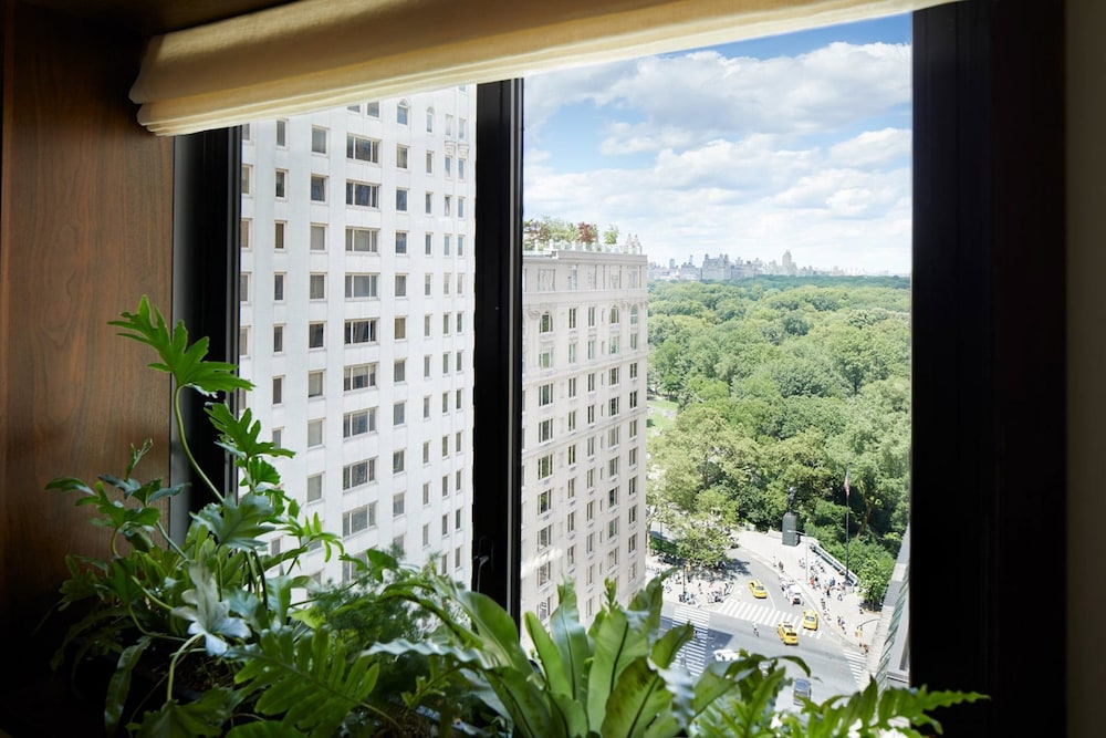 1 Hotel Central Park - photo 50