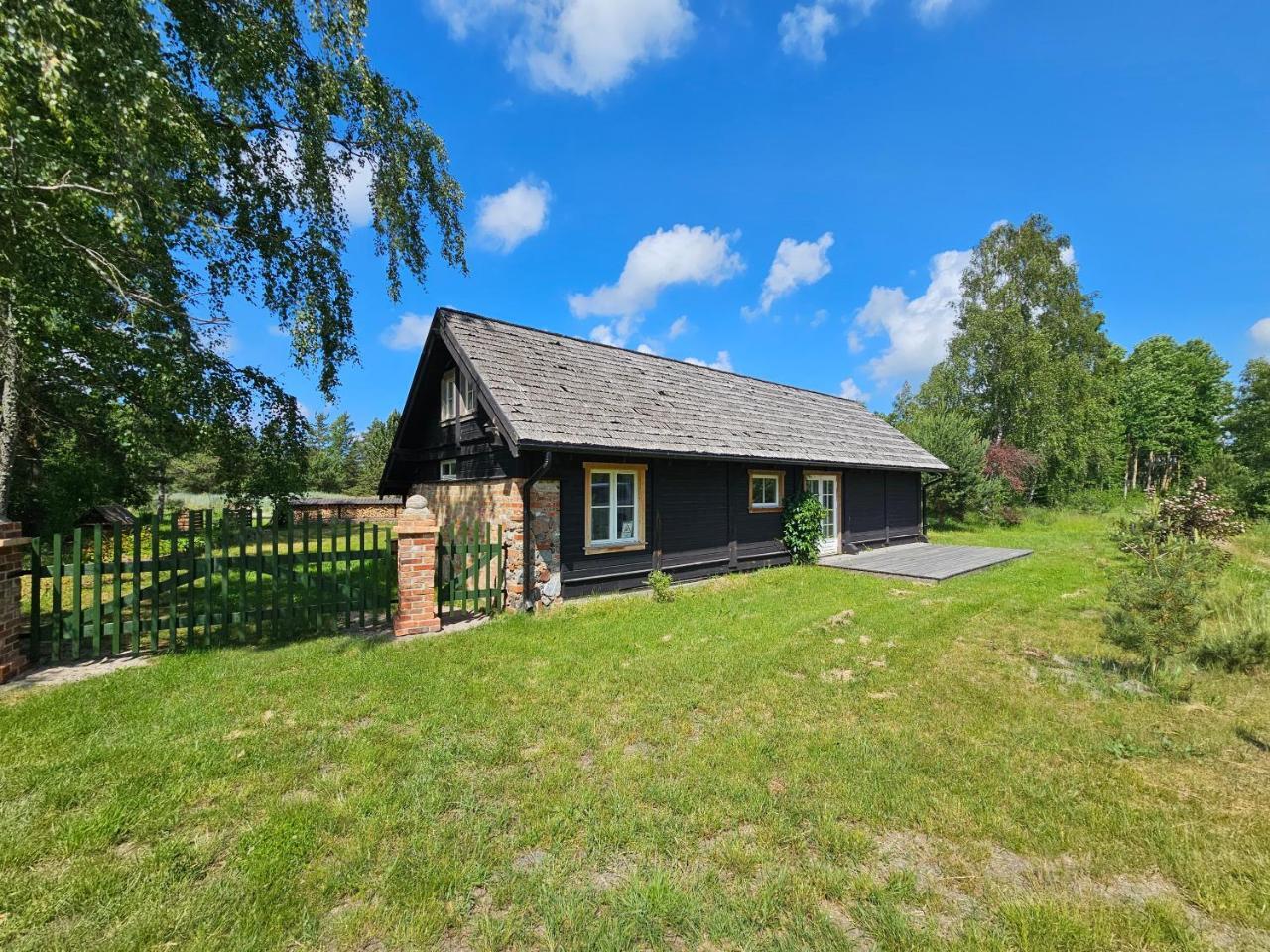 Beces in Unknown City, Latvia