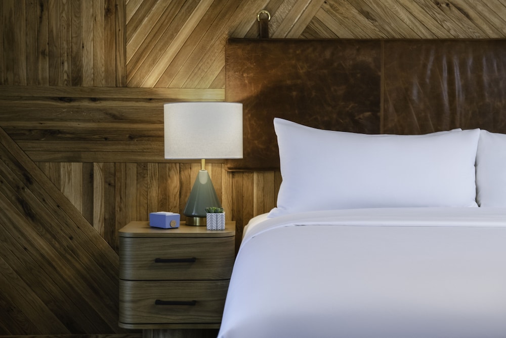 Calistoga Motor Lodge & Spa a JdV by Hyatt Hotel - photo 9