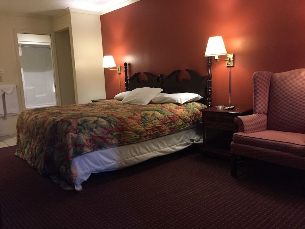 Wildwood Inn Tropical Dome & Theme Suites - photo 3