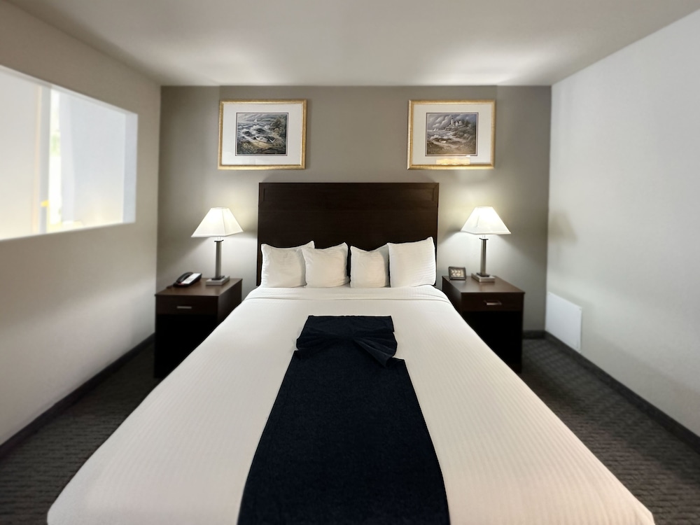 BayVue Hotel Resort and Suites - photo 10