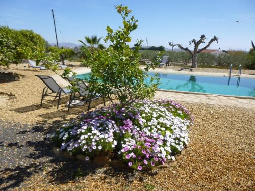 Finca Arboleda — Vera — photo 4