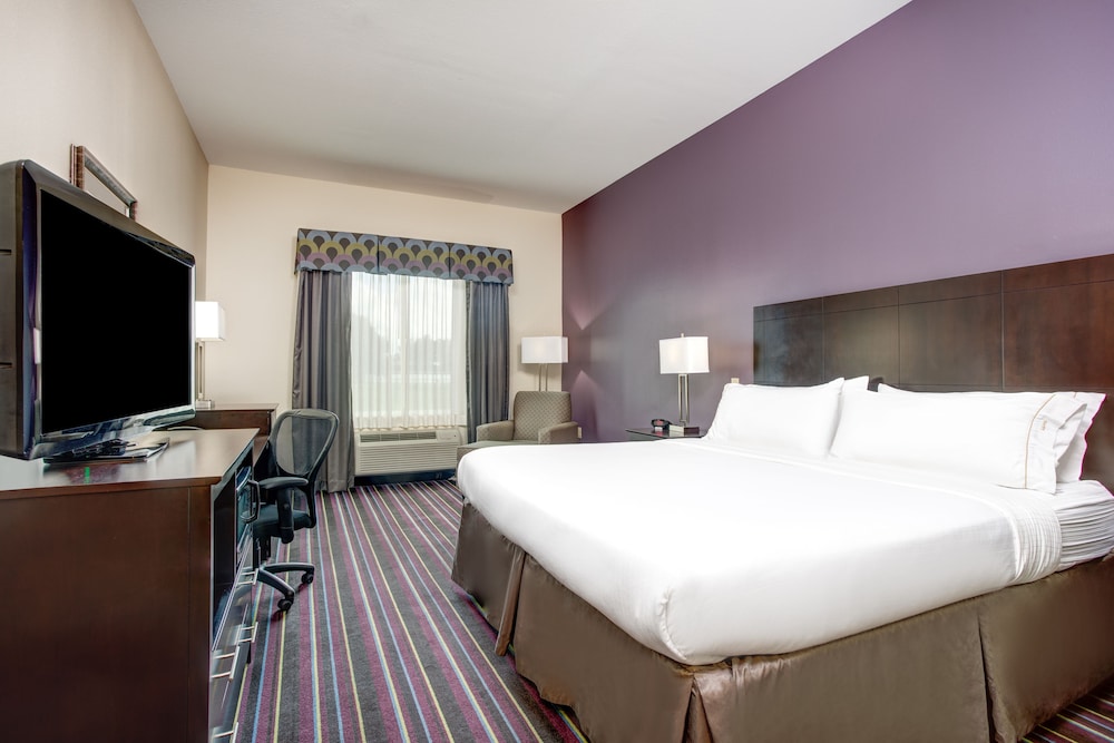 Holiday Inn Express Hotel & Suites Raceland Highway 90 by IHG - photo 14