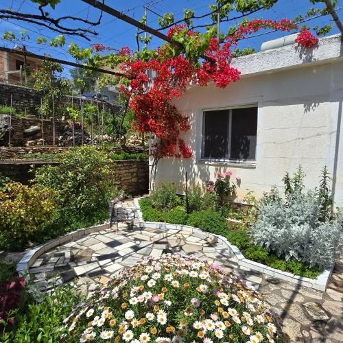 Flora s place in Sarande, Albania