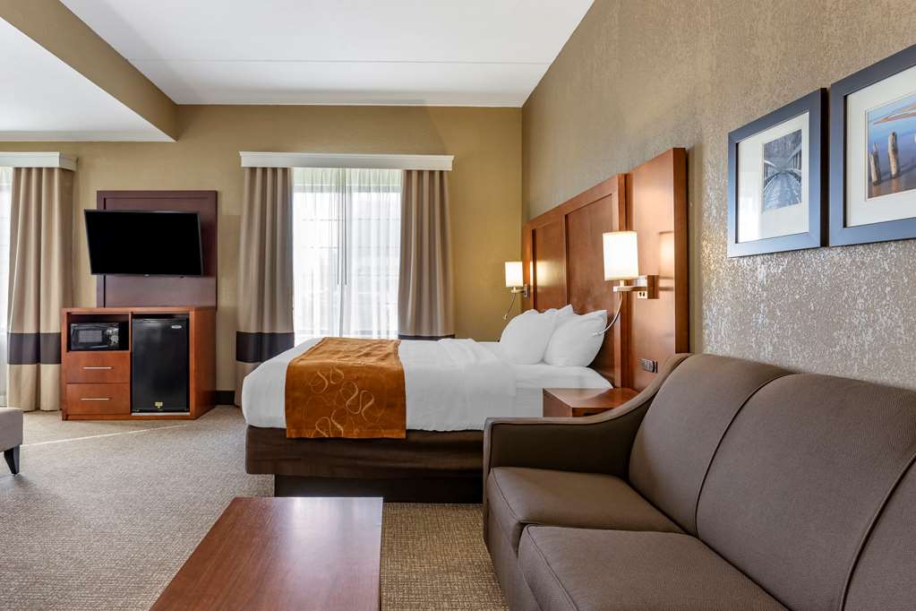 Comfort Suites Grand Rapids South - photo 11