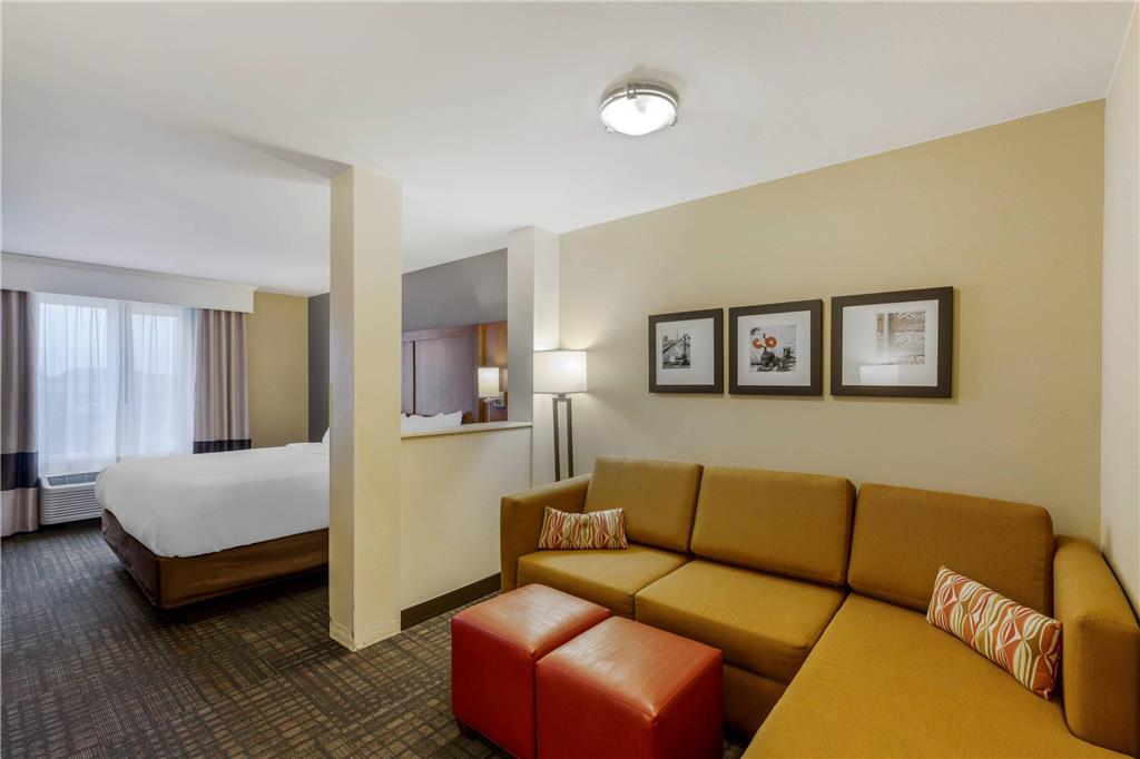 Comfort Suites Loveland - photo 25