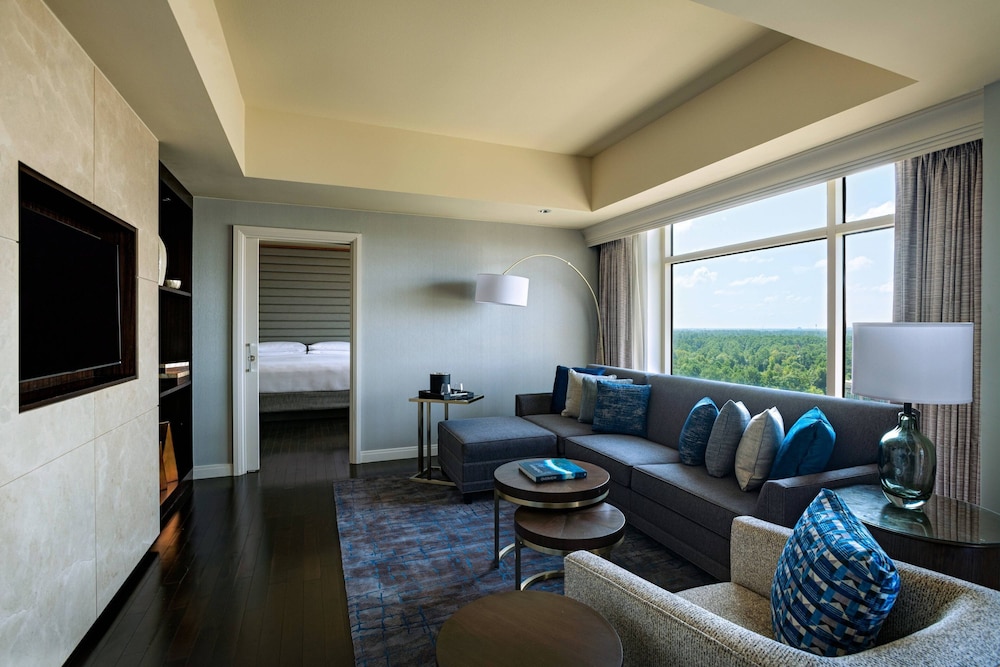 The Woodlands Waterway Marriott Hotel & Convention Center - photo 25