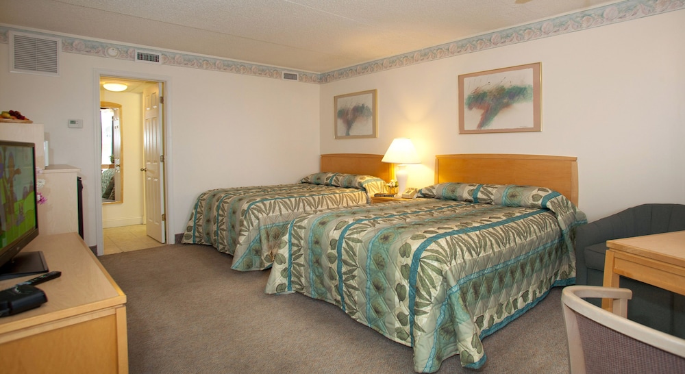 Lotus Inn - photo 6