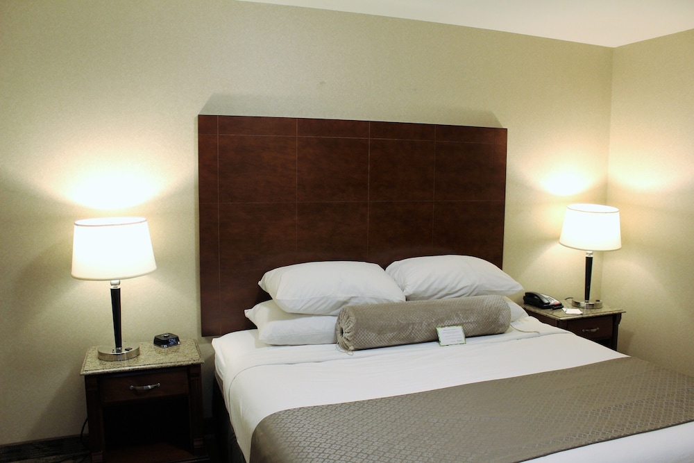 Medallion Inn & Suites - photo 10