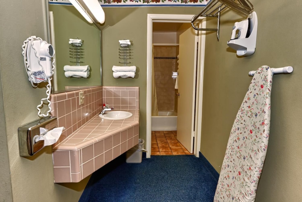 New Western Motel - photo 12