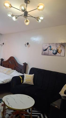 Homely studio Kileleshwa