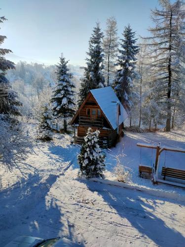 Domek Góralki — Zakopane — photo 2