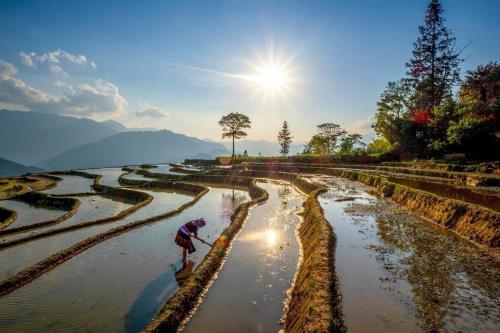 Hmong house Sapa — 4-Star Luxury Hotel in Sa Pa, Vietnam