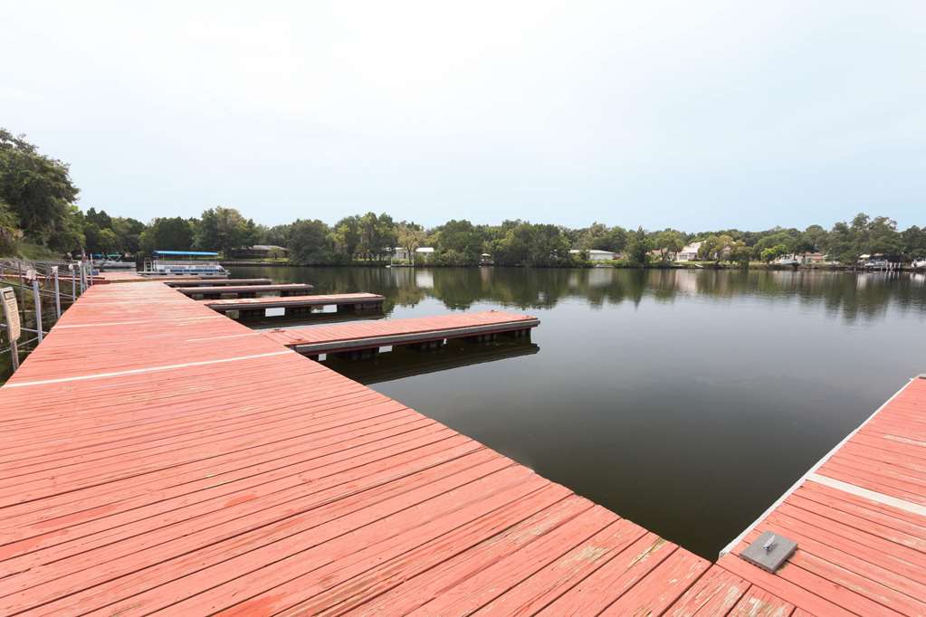 Days Inn by Wyndham Crystal River - photo 18