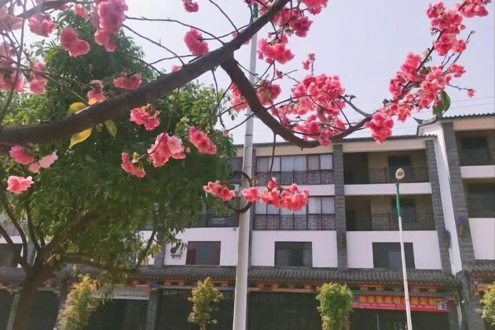 Moyan Inn — hotel in Guishan