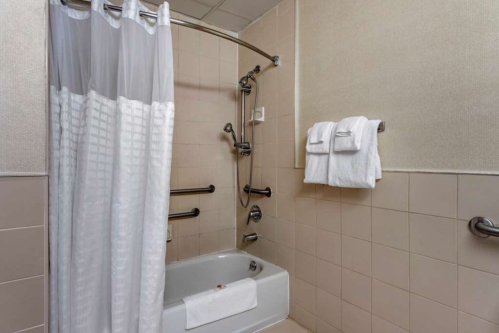 Comfort Inn Syosset Long Island - photo 28