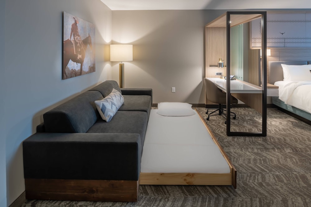 SpringHill Suites by Marriott Fort Worth Historic Stockyards - photo 7