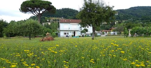 Affittacamere La Foresta Di Sopra — Barga