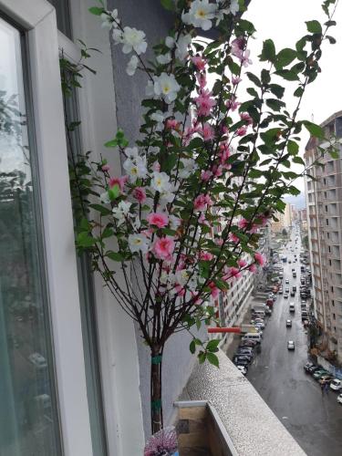 Мате Apartment