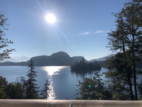 Sovica in Bled, Slovenia