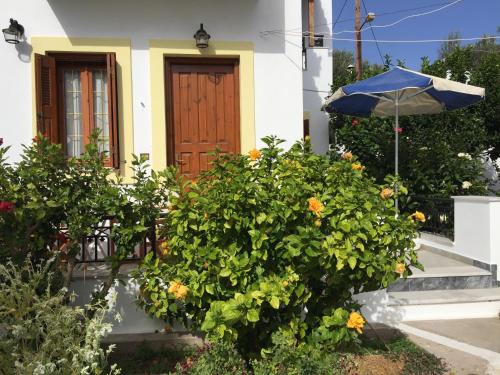 Livanina apartments — 4-Star Luxury Hotel in Marathokampos, Greece