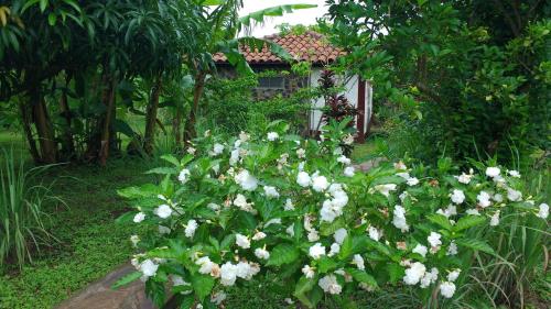 Finca Mystica in Managua, Nicaragua