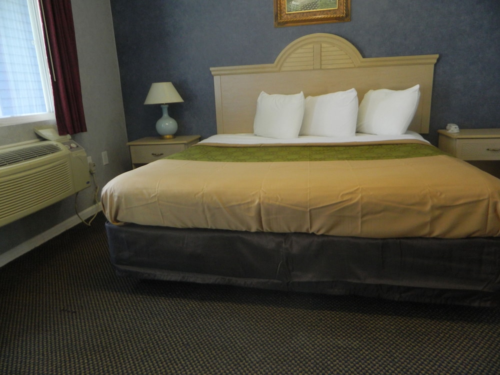 Village Inn and Suites - photo 18
