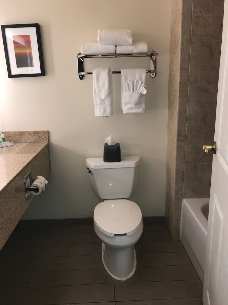 Holiday Inn & Suites Ann Arbor Univ Michigan Area by IHG - photo 28