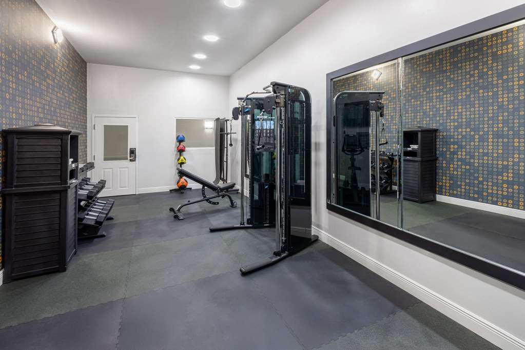 La Quinta Inn & Suites by Wyndham Angleton - photo 17