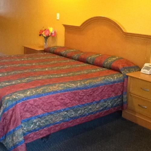 Palm Tree Inn - photo 5